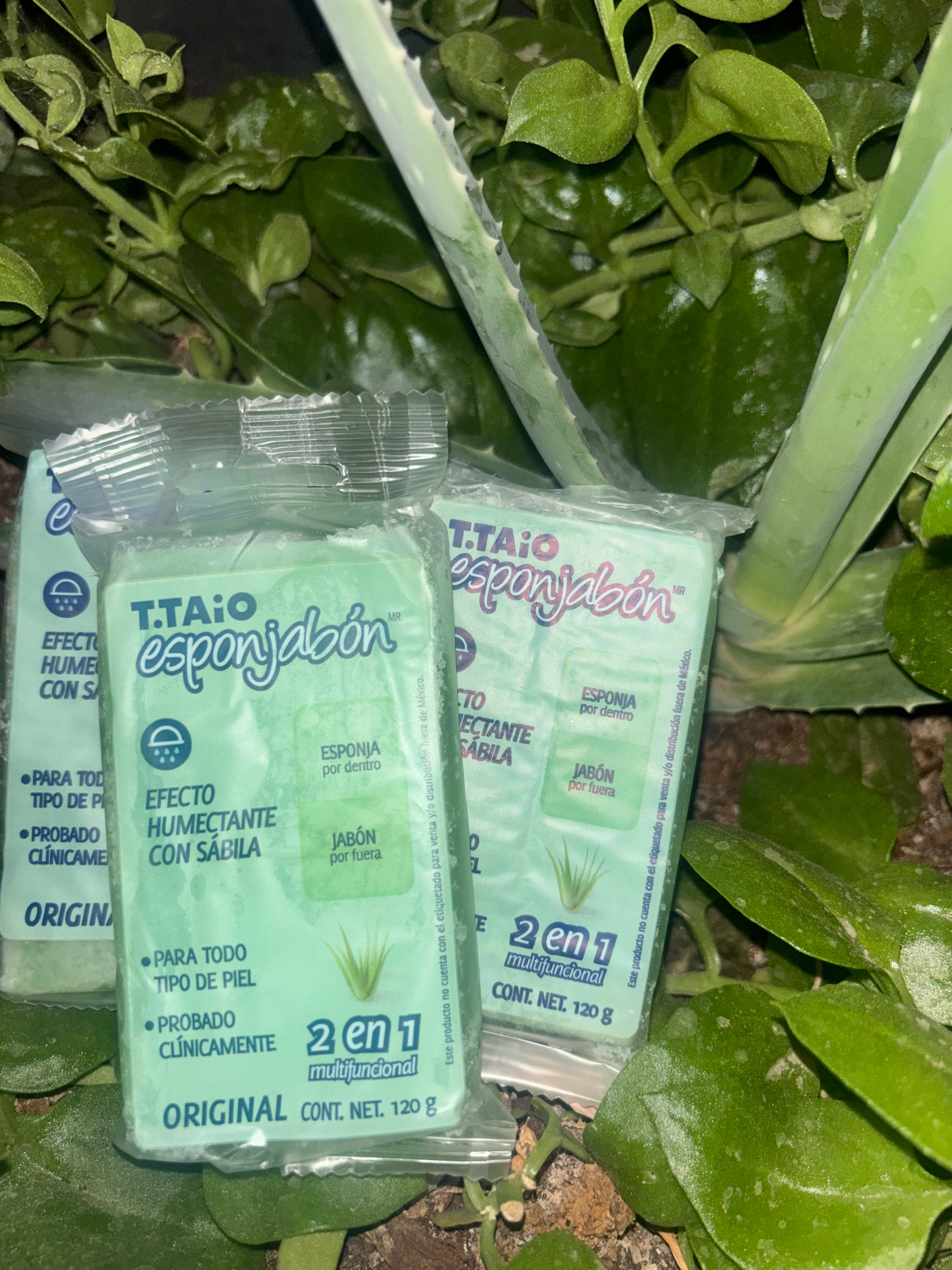 T.TAiO Esponjabón 2in 1 with Aloe Vera