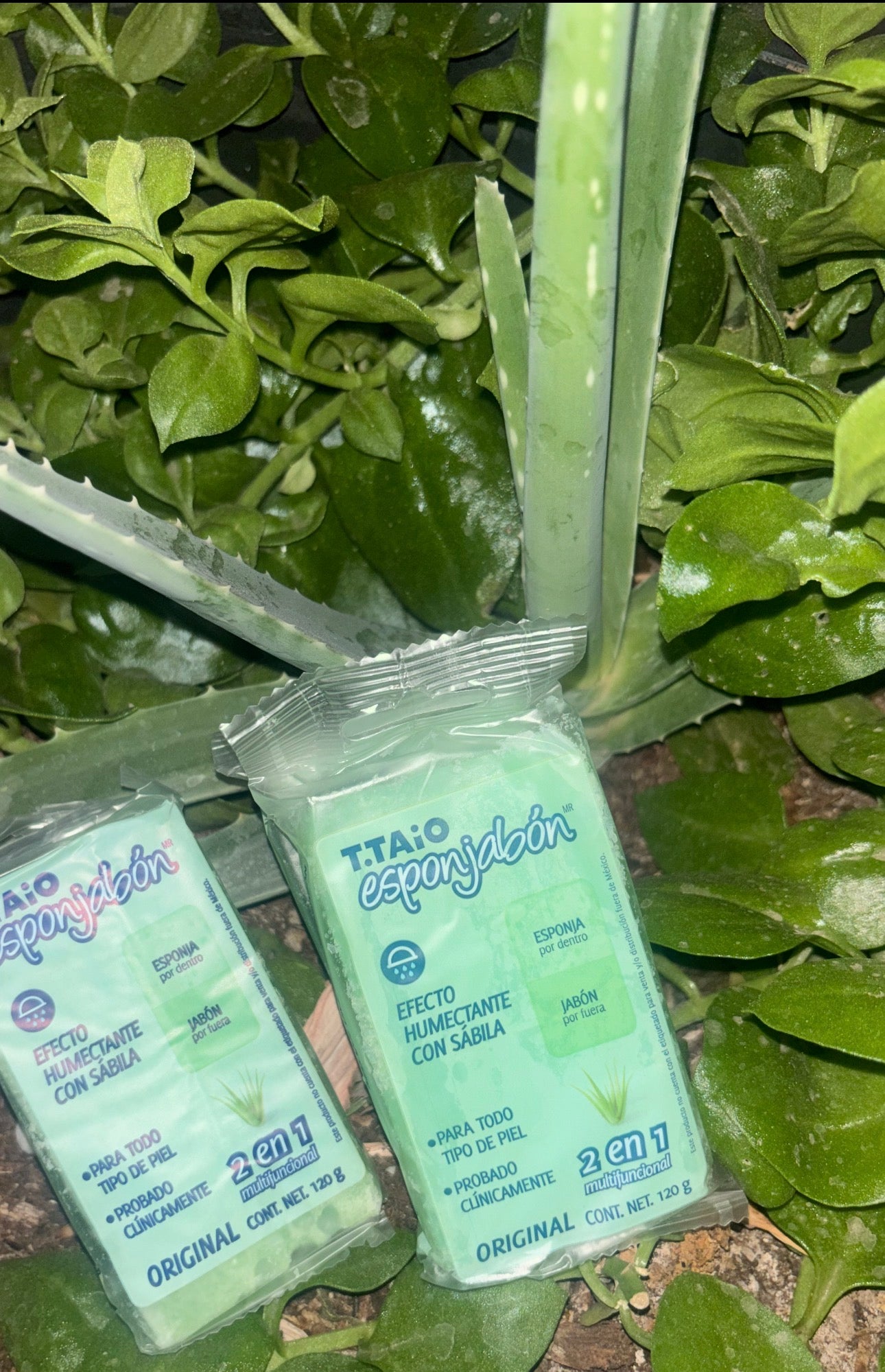 T.TAiO Esponjabón 2in 1 with Aloe Vera